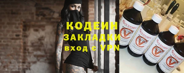 амф Бородино