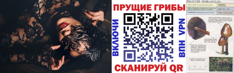 ссылка на мегу tor darknet какой сайт Псилоцибиновые грибы MAGIC MUSHROOMS Барнаул